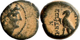 SELEUKID KINGS of SYRIA. Antioch mint . Antiochos VIII Epiphanes (121-96 BC). AE bronze. Obv.: diademed head of Antiochus right. Rev.: BAΣІΛEΩΣ ANTIOX...