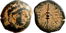 SELEUKID KINGS of SYRIA. Antioch mint. Antiochos IX Kyzikenos (114/3-95 BC). AE bronze. Obv.:  BAΣIΛEΩΣ / ANTIOXOY / ΦIΛOΠATΡOΣ, titles to right and l...