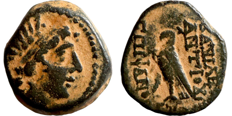 SELEUKID KINGS of SYRIA. Antioch mint . Antiochos VIII Epiphanes (121-96 BC). AE...