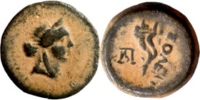 Greek bronze Coins. Obverse: Head of Diana. Reverse: cornucopia