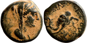 SELEUKID KINGS of SYRIA Seleucus IV bronze. Obvs: Veiled diademed head of Laodice IV right. Dotted border. Revs: BAΣIΛEΩΣ ANTIOXOY, elephant head left...