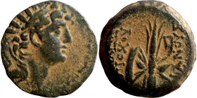 SELEUKID KINGS of SYRIA. Antioch mint . Antiochos VIII Epiphanes (121-96 BC). AE bronze. Obv.: diademed head of Antiochus right. Rev.: BAΣІΛEΩΣ ANTIOX...