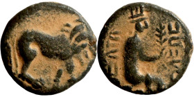 COMMAGENE. Samosata. 1st century BC. AE oktachalkon. Obv.: Lion walking to right. Rev.: CAMOCATΩ / [ΠOΛEΩC] The Tyche of Samosata seated to right on r...