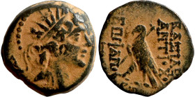 SELEUKID KINGS of SYRIA. Antioch mint . Antiochos VIII Epiphanes (121-96 BC). AE bronze. Obv.: diademed head of Antiochus right. Rev.: BAΣІΛEΩΣ ANTIOX...