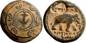 ANTIOCHOS I. Antioch mint. ANTIOCHOS I AE19. EF-. Antioch mint. Macedonian Shield - Elephant. Zoom