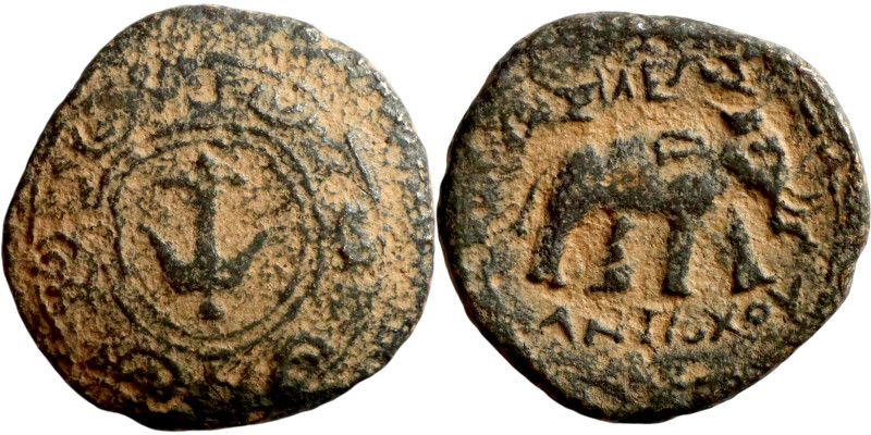 ANTIOCHOS I. Antioch mint. ANTIOCHOS I AE19. EF-. Antioch mint. Macedonian Shiel...