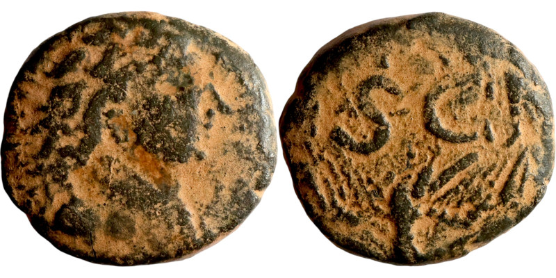 Imitation of roman antioch coin

23mm 9.80g

Artificial sand patina