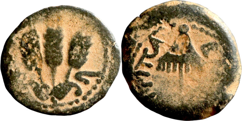 JUDAEA. Jerusalem mint. Agrippa I (under Claudius, 37-44 AD). AE prutah. Obv.: Β...