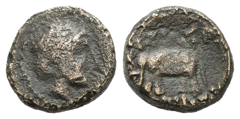 SELEUCIDI. Antioco III ? (223-187 a.C.). AE per Antiochia (g 1,70). Testa di Apo...