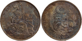 Peru 1/2 Sol 1928 
 Peru 1/2 Sol 1928 Silver KM#216

Grade: UNC