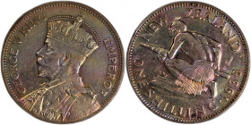 New Zealand 1 Shilling 1935 
 New Zealand 1 Shilling 1935 Silver KM#3 George V 
Grade: AU