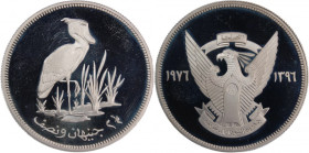 Sudan 2 1/2 Pounds 1976 (AH 1396) 
 Sudan 2 1/2 Pounds 1976 (AH 1396) Silver KM#70 Conservation Mintage:5590 Pcs 
Grade: PROOF