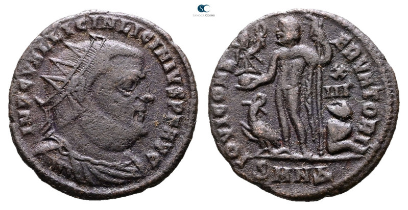 Licinius I AD 308-324. Nicomedia
Follis Æ

19 mm, 3,15 g



Very Fine