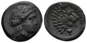 TROAS. Antandros. (4th-3rd centuries BC)
AE Bronze (19,9mm 5g)
Obv: Laureate head of Apollo right.
Rev: ANTAN. Head of lion right; grape bunch abov...