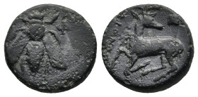 IONIA. Ephesos. (Circa 390-300 BC)
AE Bronze (13,1mm 1,9g)
Obv: Ε – Φ. Bee.
Rev: Stag kneeling to left, head right; astragalos above
BMC 58ff. (di...