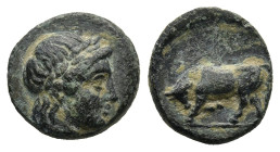 MYSIA. Gambrion. (4th century BC)
AE Bronze (9,6mm 0,9g)
Obv: Laureate head of Apollo to right.
Rev: Bull butting left.
SNG Copenhagen 156.