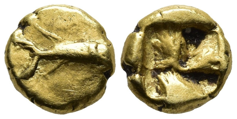 MYSIA. Kyzikos. (Circa 600-550 BC).
EL Myshemihekte or 1/24 Stater (6,9mm 0,65g...