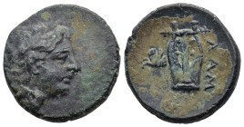 MYSIA. Lampsakos. (Circa 2nd-1st century BC)
AE Bronze (20,9mm 7g)
Obv: Laureate head of Apollo to right.
Rev: ΛΑΜ. Lyre; in field to left, forepar...