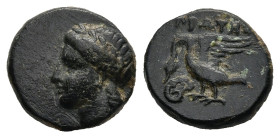 IONIA. Leukai. (Circa 350-300 BC). Prote-, magistrate.
AE Bronze (11,3mm 1,38g)
Obv: Laureate head of Apollo left.
Rev: ΠΡΩΤΗ. Swan standing left w...
