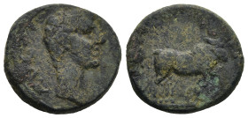 MACEDON. Philippi. Augustus (27 BC-14 AD).
AE Bronze (17,8mm 4,44g)
Obv: AVG Bare head of Augustus to right.
Rev: Two founders driving yoke of oxen...