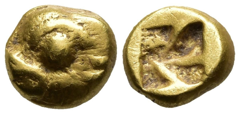 IONIA. Phokaia. (Circa 625/0-522 BC)
EL 1/24 Stater (5,9mm ,63g)
Obv: Head of ...