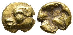 IONIA. Phokaia. (Circa 625/0-522 BC)
EL 1/24 Stater (7,1mm 0,5g)
Obv: Head of seal to left
Rev: Incuse square punch.
Traité I 131; Bodenstedt Em 2...