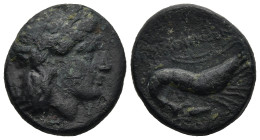 MYSIA. Priapos. (circa 300-200 BC)
AE Bronze (18,7mm 6,13g)
Obv: Laureate head of Apollo right
Rev: Shrimp or cray-fish right, unknown symbol below...