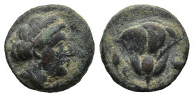 ISLANDS off CARICA. Rhodos. Rhodes. (Circa 404-385 BC)
AE Bronze (11,4mm 103g)
Obv: Head of the nymph Rhodos right.
Rev: P - O. Rose with bud to le...