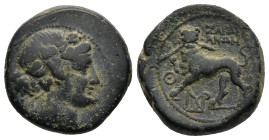 LYDIA. Sardes. (2nd-1st centuries BC).
AE Bronze (17,2mm 5,4g)
Obv: Head of Dionysos to right, wearing wreath of ivy and fruit.
Rev: ΣAPΔI/ANΩN. Li...