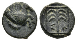 TROAS. Skepsis. (Circa 197-188 BC)
AE Bronze (10,6mm 1,6g)
Obv: Forepart of Pegasos flying right
Rev: Σ-K. Fir tree within linear border
SNG Copen...