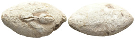 PB Sling Bullet. Circa 4th-1st century BC
(27,9g 31,9mm diameter)
Obv: Bee
Rev: -