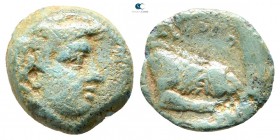 Kings of Macedon. Aeropos 398-395 BC. Bronze Æ