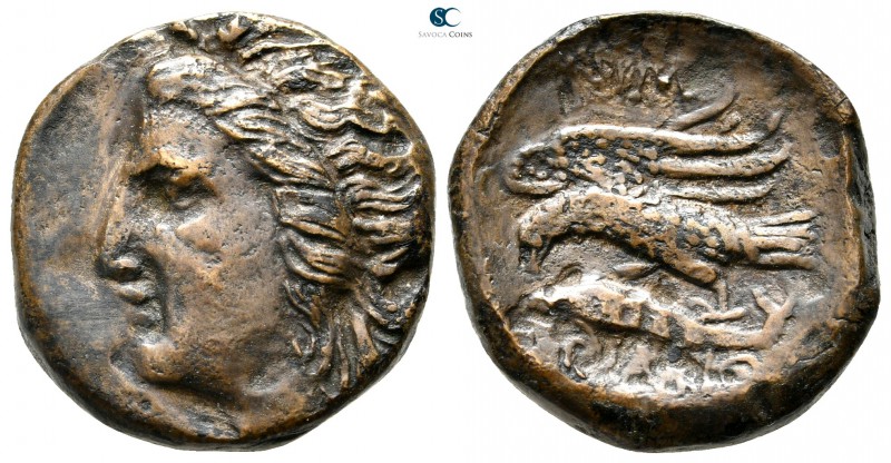 Scythia. Olbia circa 350-330 BC. 
Bronze Æ

23 mm., 8,98 g.

Head of Demete...