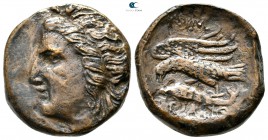 Scythia. Olbia circa 350-330 BC. Bronze Æ