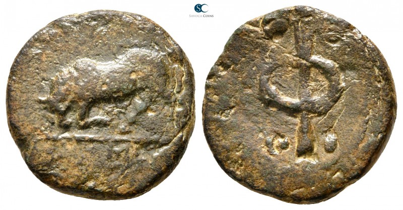 Phliasia. Phlious 400-350 BC. 
Bronze Æ

17 mm., 3,19 g.

Bull butting left...
