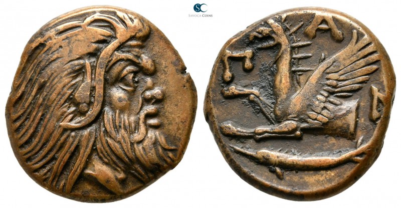 Cimmerian Bosporos. Pantikapaion 310-303 BC. 
Bronze Æ

21 mm., 6,44 g.

He...