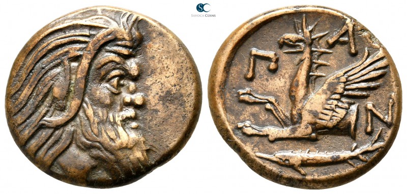 Cimmerian Bosporos. Pantikapaion 310-303 BC. 
Bronze Æ

21 mm., 6,24 g.

He...