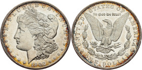 USA, Morgan Dollar 1902, O, New Orleans
