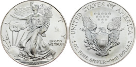 USA, 1 Dollar (1 Oz) 1999, American Silver Eagle