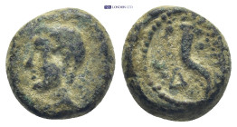 THRACE. Sestus. Augustus (27 BC-14 AD). Ae. (12mm, 2.96 g) Obv: Bare head left. Rev: ΣΗΣ. Cornucopia; Δ to left.