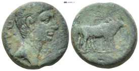 TROAS. Alexandria. Augustus, 27 BC-AD 14. AE. 16mm, 3.9 g) Bare head of Augustus, right. Two priests ploughing, right.