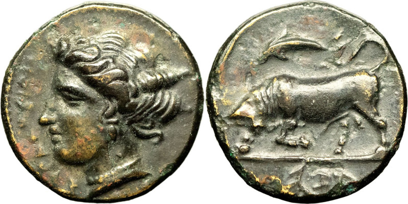 GRÈCE ANTIQUE - GREEK
Sicile, Syracuse, Agathoclès (317-289 av. J.-C.). Bronze N...