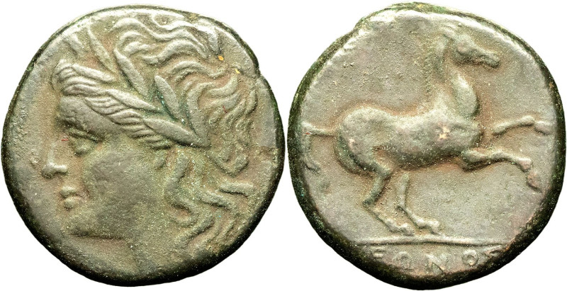 GRÈCE ANTIQUE - GREEK
Sicile, Syracuse, Hiéron II (274-216 av. J.-C.). Bronze ND...
