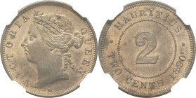 MAURICE (ÎLE) - MAURITIUS
Victoria (1837-1901). 2 cents 1890, H, Birmingham.
KM.8 ; Bronze - 4,00 g - 23 mm - 12 h
C’est le second plus haut grade !
N...