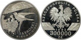 Europäische Münzen und Medaillen, Polen / Poland. Rauchschwalbe am Nest. 300000 Zlotych 1993, Silber. KM Y#248. Polierte Platte