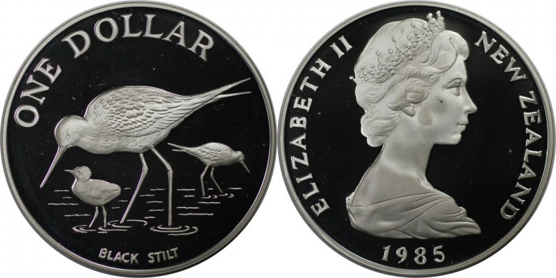 Weltmünzen und Medaillen, Neuseeland / New Zealand. Schwarze Stelze. 1 Dollar 19...