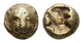 Ionia, Miletos. EL 1/24 Stater, 0.58 g 5.81 mm. Circa 560-545 BC. 
Obv:Lion's head facing 
Rev:Rough incuse square. 
Ref: ATEC 210; SNG Kayhan 453-454...