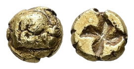 Ionia, Phokaia. EL 1/48 Stater, 0.33 g 5.00 mm. Circa 625-600 BC. 
Obv: Head of seal right 
Rev: Quadripartite incuse. 
Ref: Bodenstedt 2.1.
Fine