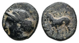 Lesbos, Pyrrha. Ae, 1.37 g 11.36 mm. 4th century BC.
Obv: Female head left, wearing sphendone.
Rev: ΠΥΡ. Goat standing left; uncertain symbol to left....