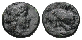 Mysia, Plakia. Ae, 1.40 g 11.32 mm. 4th century BC.
Obv: Turreted head of Kybele right.
Rev: ΠΛΑΚΙΑ. Lion, devouring prey, standing right on grain ear...